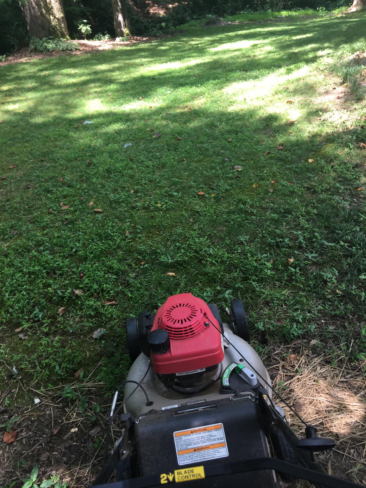 WhatsApp Image 2025-05-20 at 21.09.58_fe8c6a67