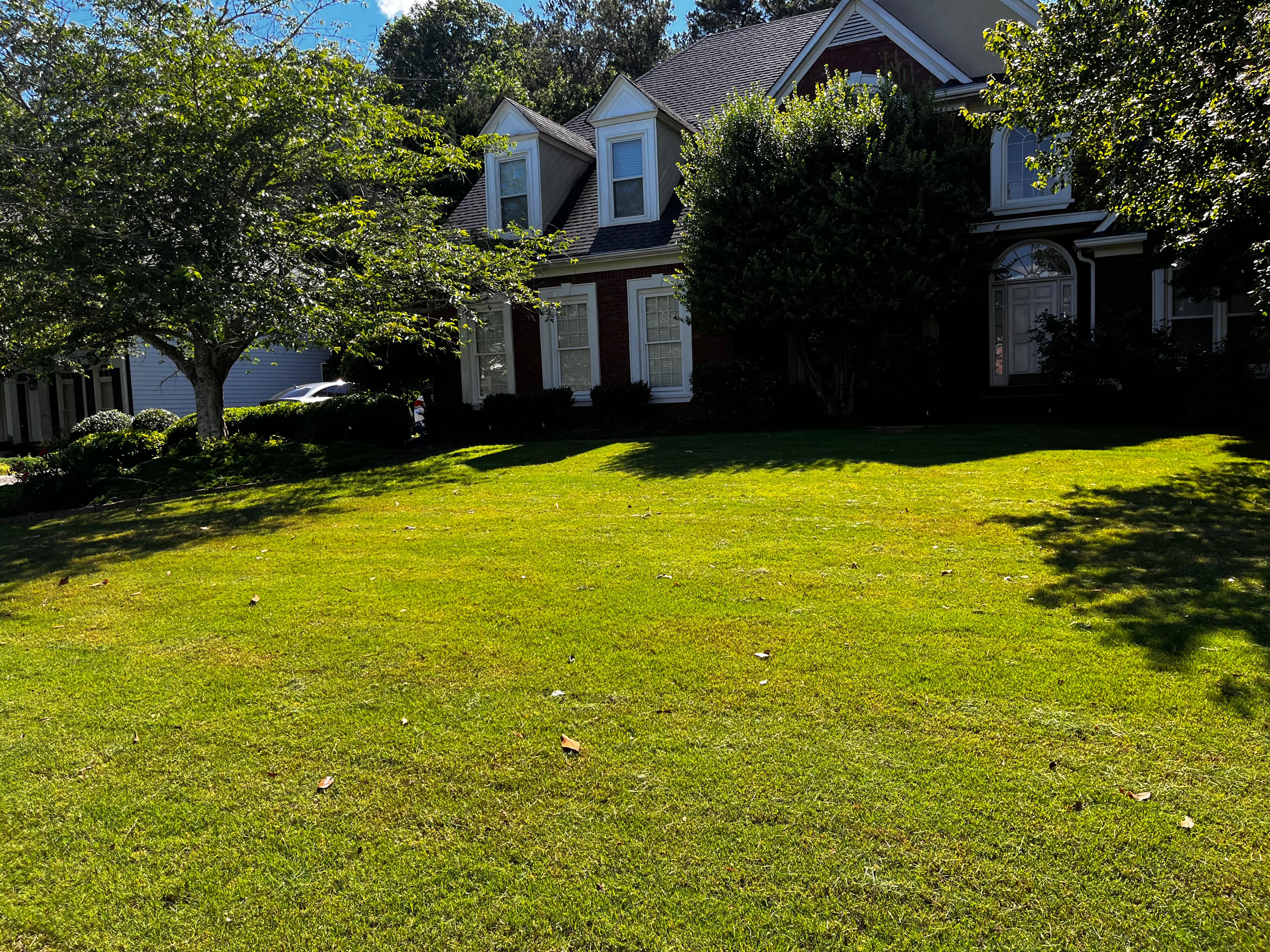 WhatsApp Image 2025-05-27 at 23.19.27_4a36ea0d